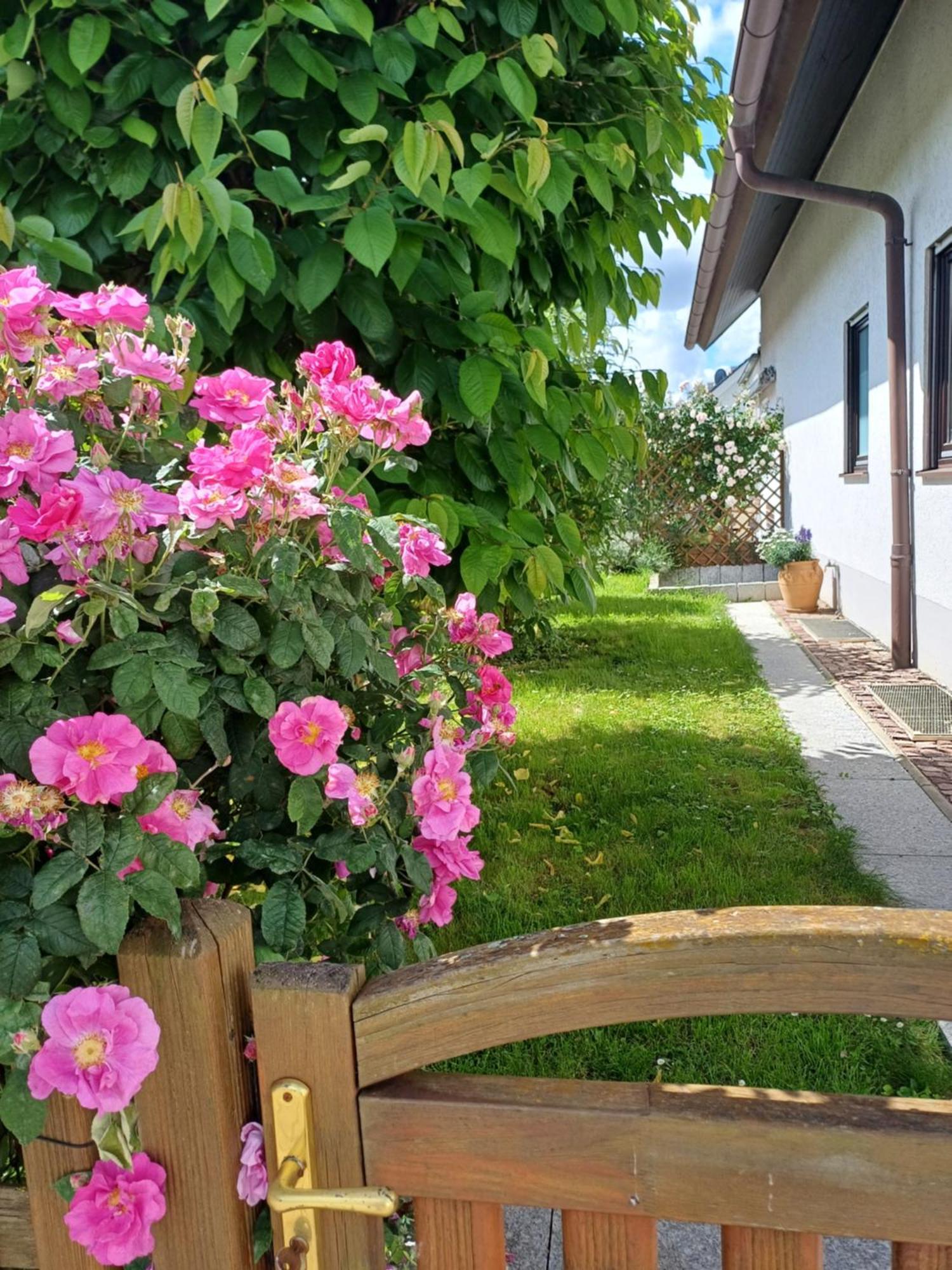 Ferienwohnung Unter Dem Sonnberg Auggen Buitenkant foto